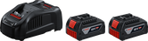 2 x GBA 18V 5.0Ah + GAL 1880 CV